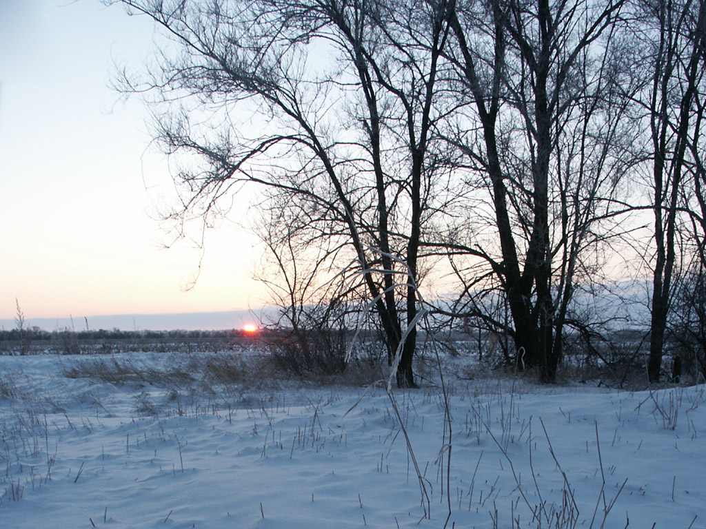 Зимний закат (1024x768)